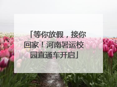 等你放假，接你回家！河南暑运校园直通车开启