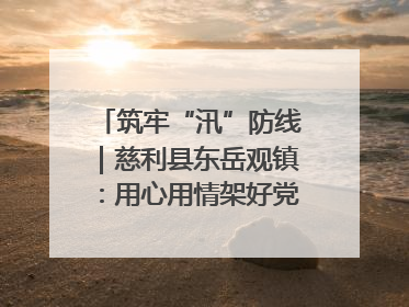 筑牢“汛”防线｜慈利县东岳观镇：用心用情架好党群温暖悠长的“连心桥”