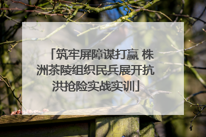 筑牢屏障谋打赢 株洲茶陵组织民兵展开抗洪抢险实战实训