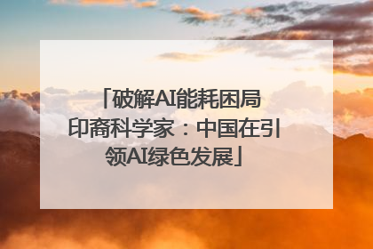 破解AI能耗困局 印裔科学家：中国在引领AI绿色发展