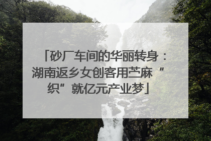 砂厂车间的华丽转身：湖南返乡女创客用苎麻“织”就亿元产业梦