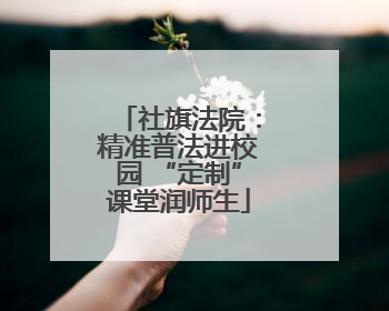 社旗法院：精准普法进校园 “定制”课堂润师生