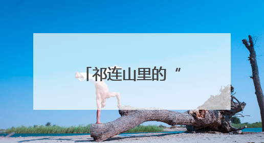 祁连山里的“动物医院”