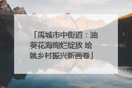 禹城市中街道：油葵花海绚烂绽放 绘就乡村振兴新画卷
