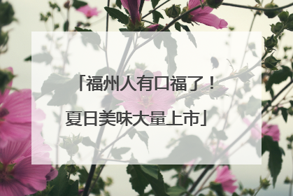 福州人有口福了！夏日美味大量上市