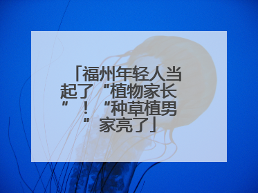 福州年轻人当起了“植物家长”！“种草植男”家亮了
