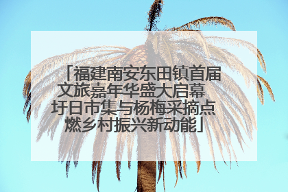 福建南安东田镇首届文旅嘉年华盛大启幕 圩日市集与杨梅采摘点燃乡村振兴新动能