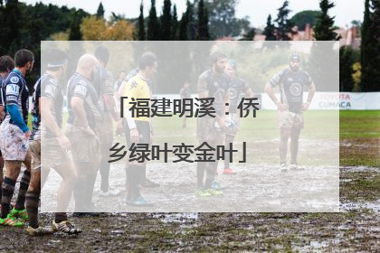 福建明溪：侨乡绿叶变金叶
