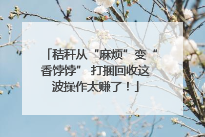 秸秆从“麻烦”变“香饽饽” 打捆回收这波操作太赚了！