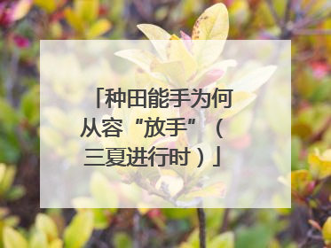 种田能手为何从容“放手”（三夏进行时）