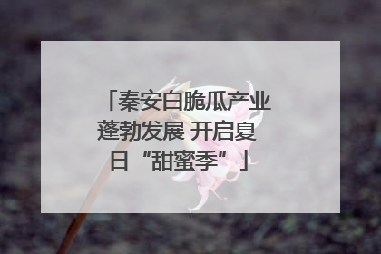 秦安白脆瓜产业蓬勃发展 开启夏日“甜蜜季”