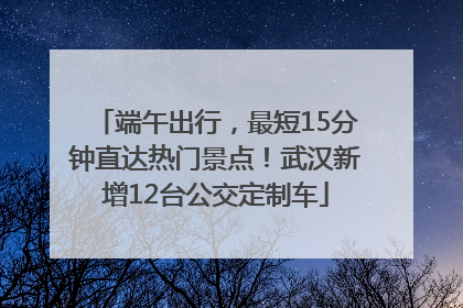 端午出行，最短15分钟直达热门景点！武汉新增12台公交定制车