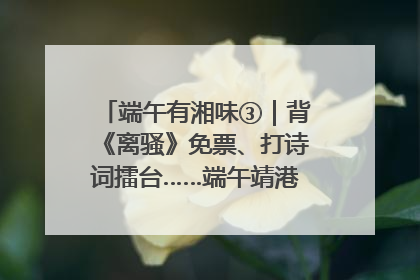 端午有湘味③｜背《离骚》免票、打诗词擂台……端午靖港古镇趣味多