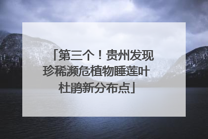 第三个！贵州发现珍稀濒危植物睡莲叶杜鹃新分布点