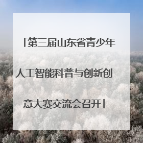 第三届山东省青少年人工智能科普与创新创意大赛交流会召开