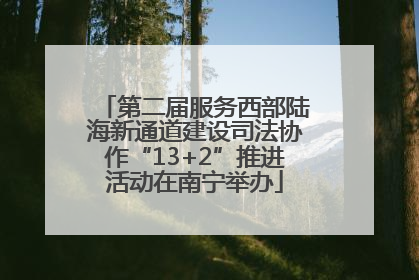 第二届服务西部陆海新通道建设司法协作“13+2”推进活动在南宁举办