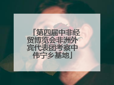 第四届中非经贸博览会非洲外宾代表团考察中伟宁乡基地