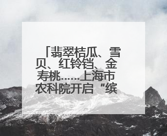 翡翠桔瓜、雪贝、红铃铛、金寿桃……上海市农科院开启“缤纷蔬菜之约”
