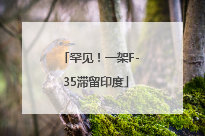 罕见！一架F-35滞留印度