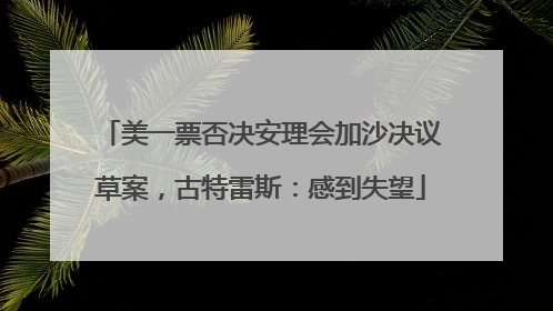 美一票否决安理会加沙决议草案，古特雷斯：感到失望
