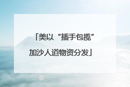 美以“插手包揽”加沙人道物资分发