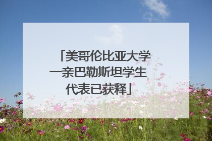 美哥伦比亚大学一亲巴勒斯坦学生代表已获释