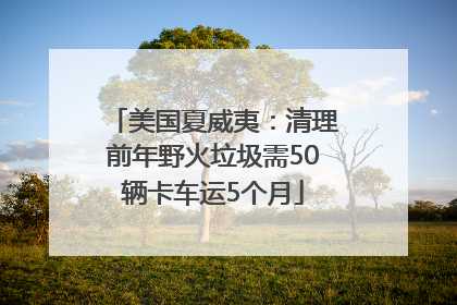 美国夏威夷：清理前年野火垃圾需50辆卡车运5个月