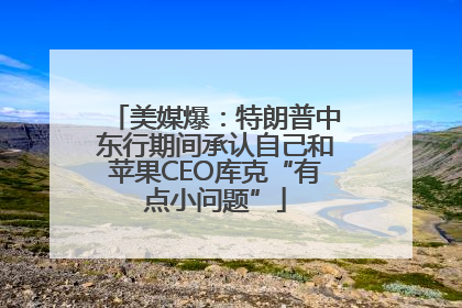 美媒爆：特朗普中东行期间承认自己和苹果CEO库克“有点小问题”