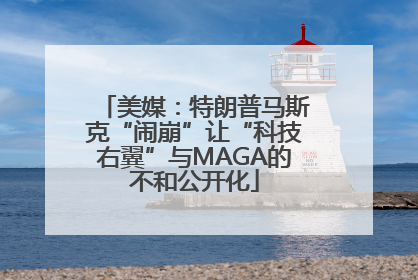 美媒：特朗普马斯克“闹崩”让“科技右翼”与MAGA的不和公开化