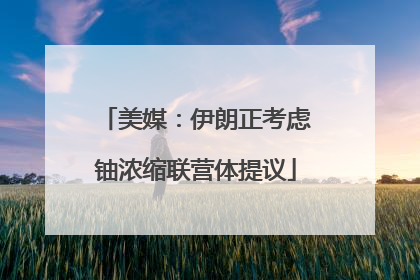 美媒：伊朗正考虑铀浓缩联营体提议