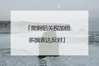 美钢铝关税加倍 多国表达反对