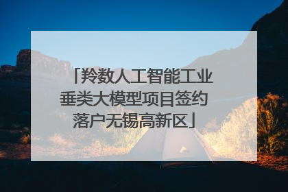 羚数人工智能工业垂类大模型项目签约落户无锡高新区