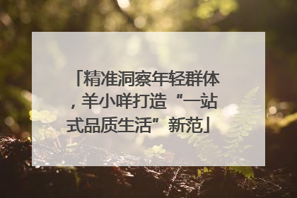 精准洞察年轻群体，羊小咩打造“一站式品质生活”新范