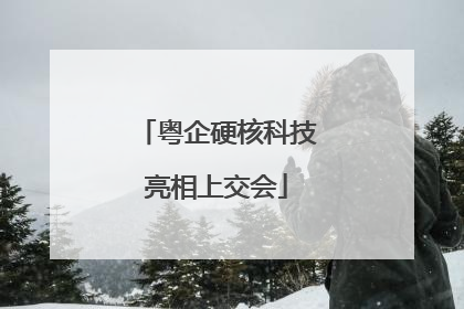 粤企硬核科技亮相上交会