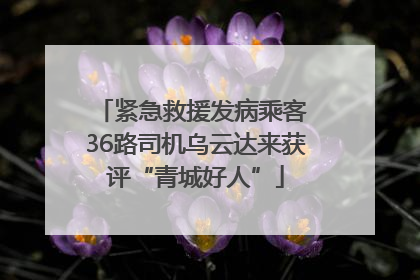 紧急救援发病乘客 36路司机乌云达来获评“青城好人”
