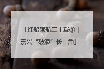 红船领航二十载③｜嘉兴“破浪”长三角