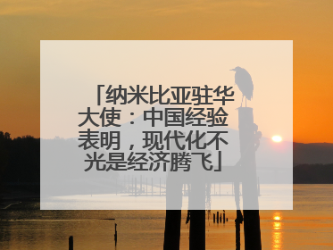 纳米比亚驻华大使：中国经验表明，现代化不光是经济腾飞