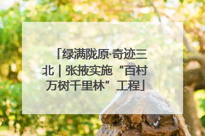 绿满陇原·奇迹三北｜张掖实施“百村万树千里林”工程