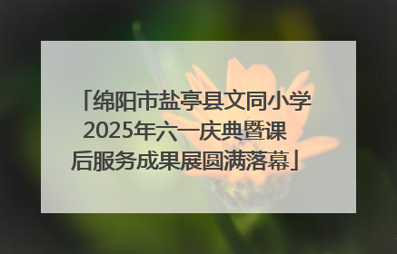 绵阳市盐亭县文同小学2025年六一庆典暨课后服务成果展圆满落幕