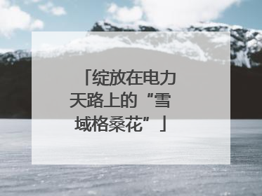 绽放在电力天路上的“雪域格桑花”