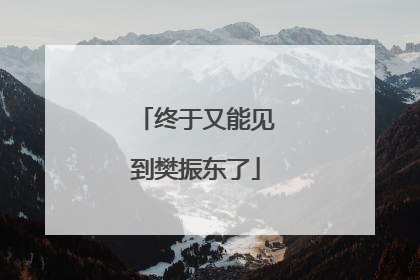 终于又能见到樊振东了