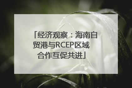 经济观察：海南自贸港与RCEP区域合作互促共进