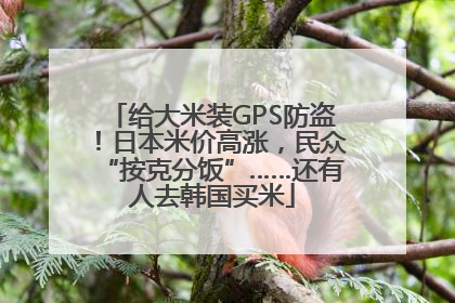 给大米装GPS防盗！日本米价高涨，民众“按克分饭”……还有人去韩国买米