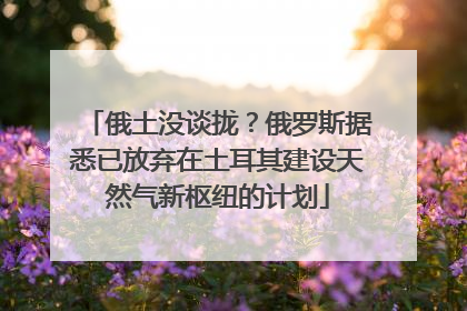 俄土没谈拢？俄罗斯据悉已放弃在土耳其建设天然气新枢纽的计划