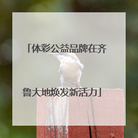 体彩公益品牌在齐鲁大地焕发新活力
