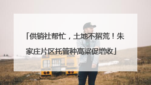 供销社帮忙，土地不撂荒！朱家庄片区托管种高粱促增收