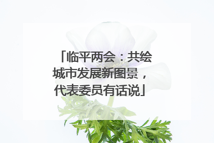 临平两会：共绘城市发展新图景，代表委员有话说
