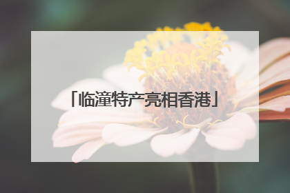 临潼特产亮相香港