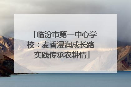 临汾市第一中心学校：麦香浸润成长路 实践传承农耕情