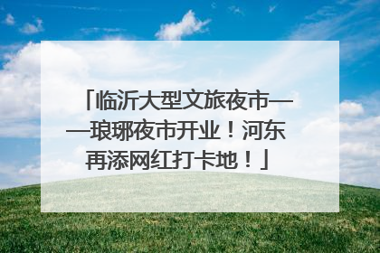 临沂大型文旅夜市——琅琊夜市开业！河东再添网红打卡地！